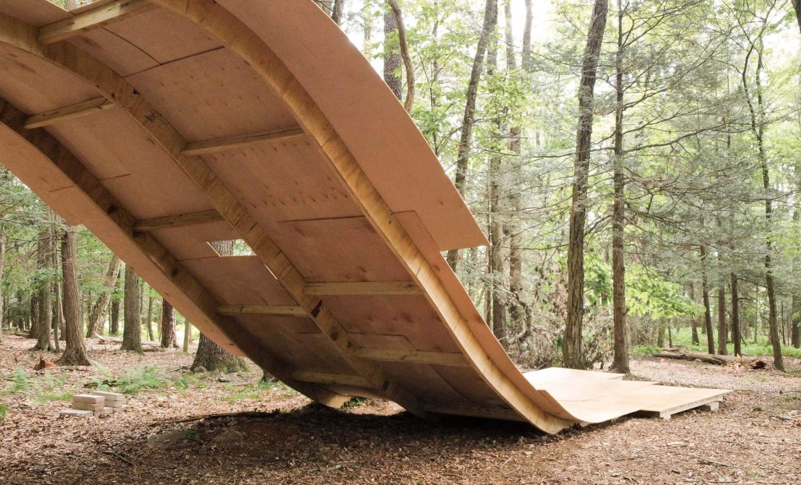 wood pavilion in the woods