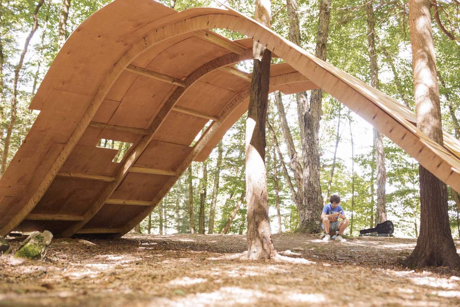 tree sticking through wood pavilion in the woods