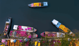 5th The Chelsea International Photography Competition 5th مسابقة تشيلسي الدولية الخامسة للتصوير الفوتوغرافي