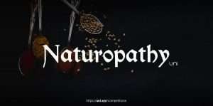 Naturopathy_Cover1.jpg Naturopathy - Challenge to design an Ayurvedic Treatment Center