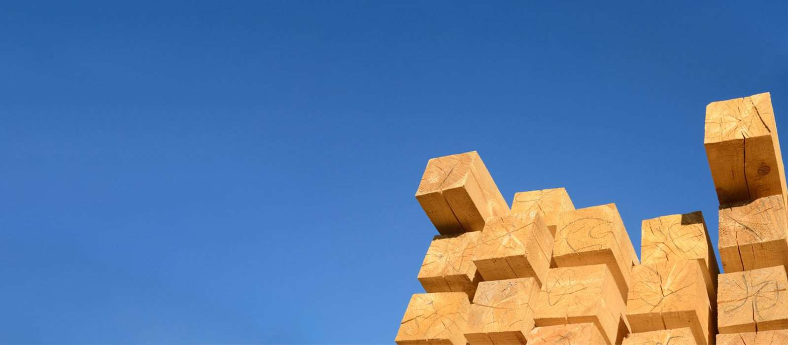 مسابقة ناطحة سحاب SKYHIVE Timber