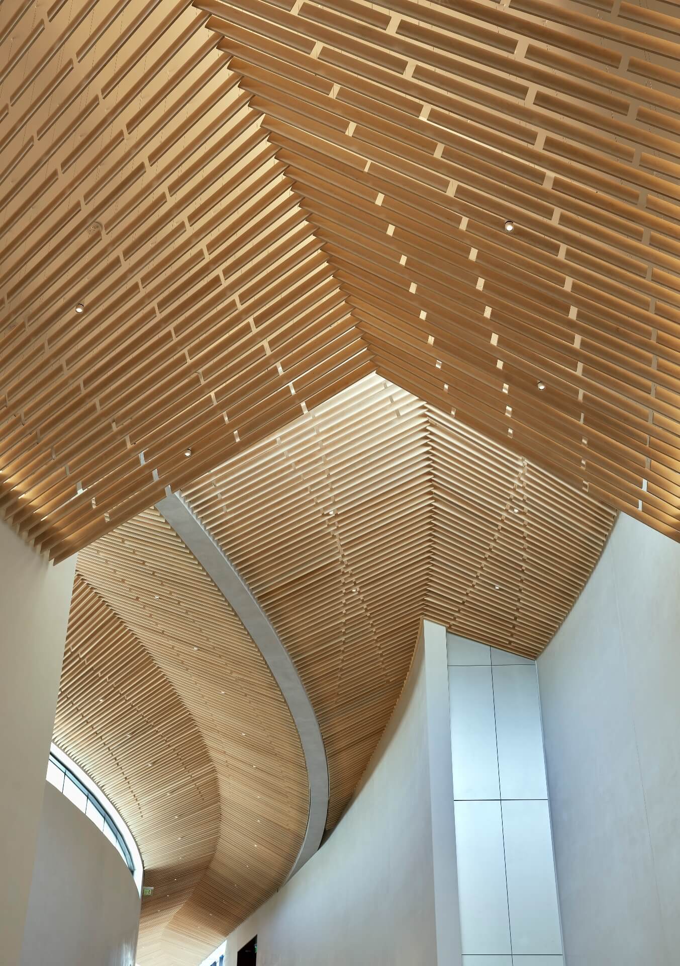 detail view of a flowing timber-clad ceiling 