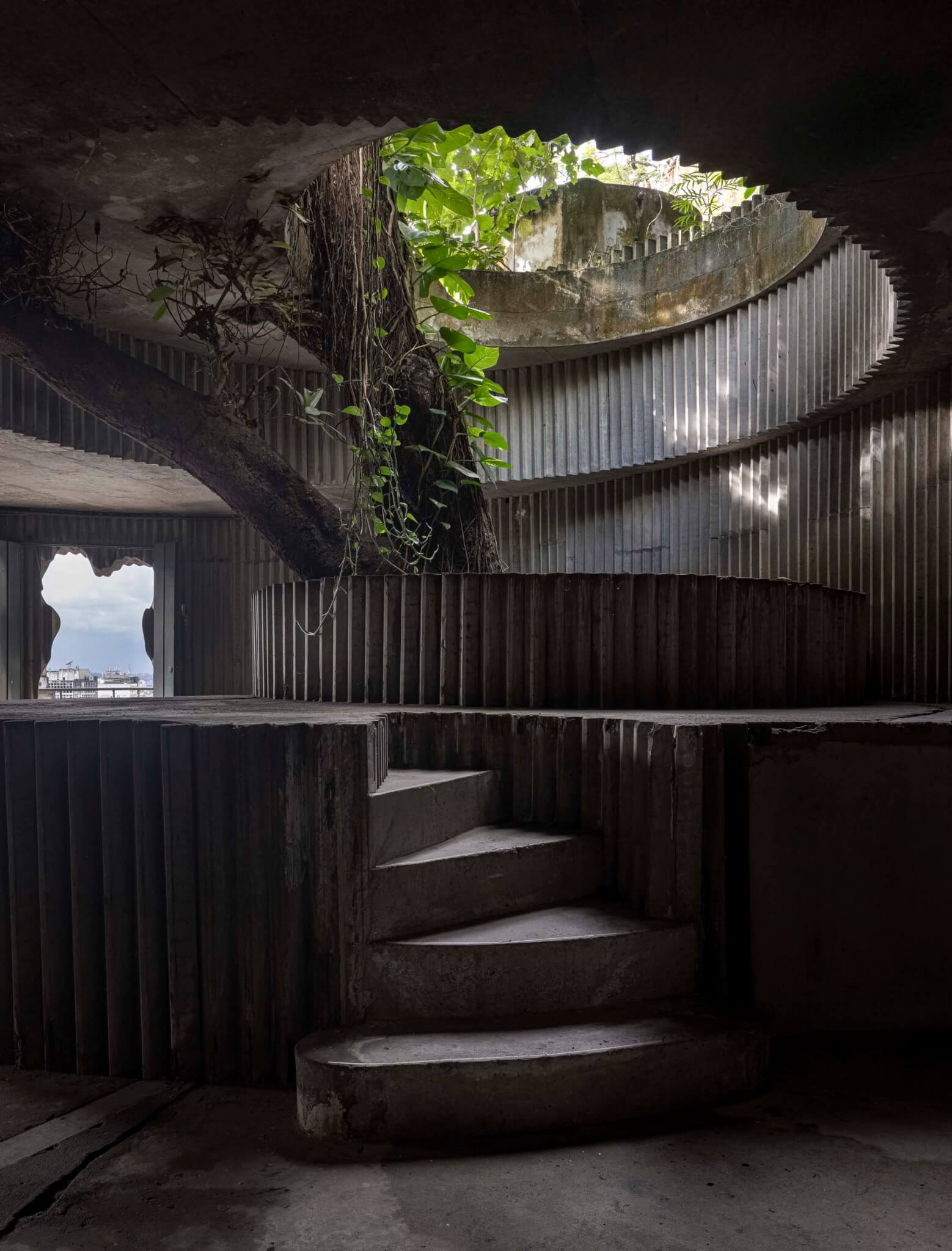 series of stairs underground with greenery above