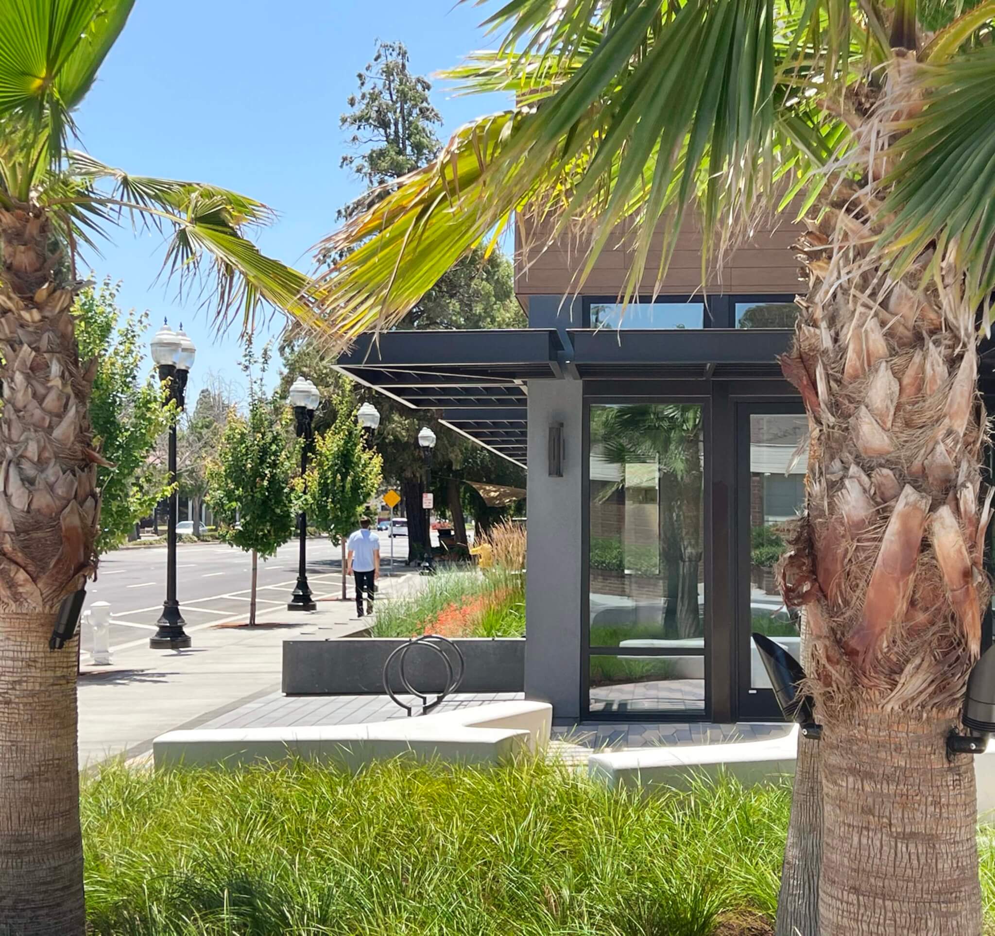 view of housing complex with palm trees