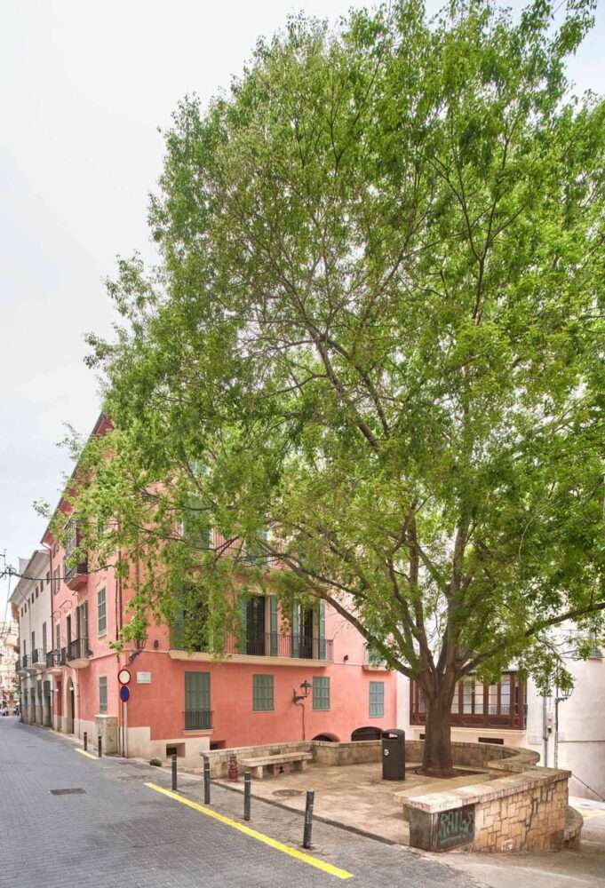 Renovation of two historic buildings with noble materials and contrasting elements in Palma