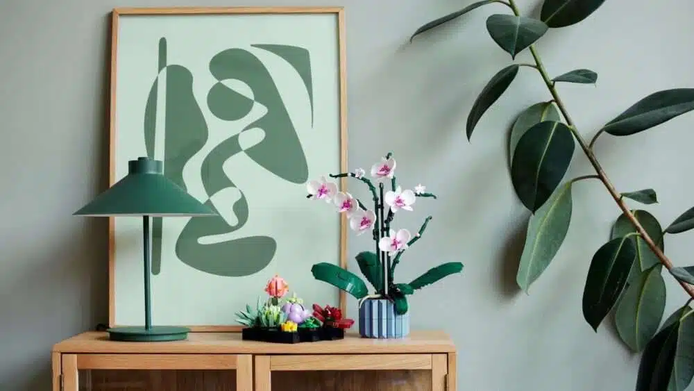 The Botanical Collection is the perfect distraction for you