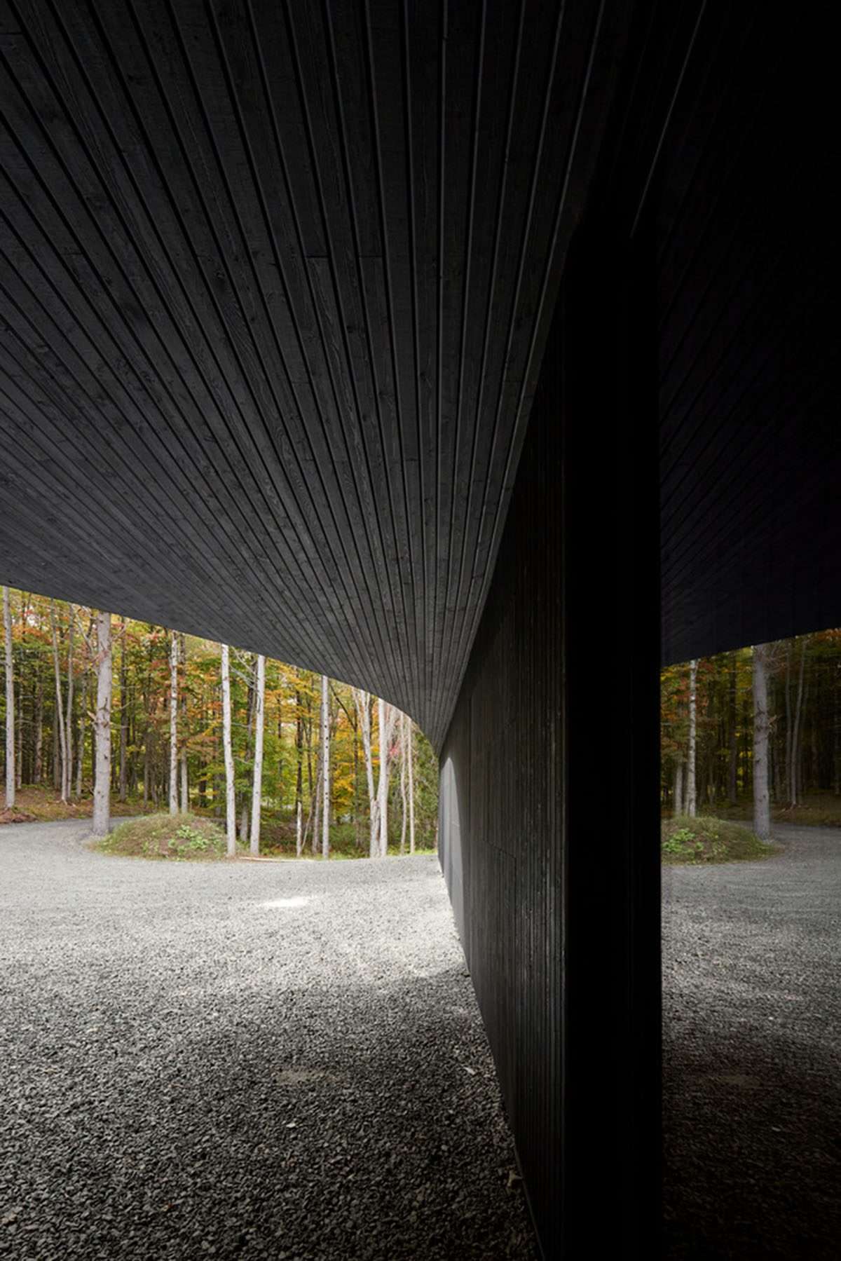Combine mathematical logic and technical touches in a Canadian forest