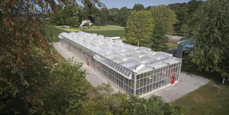 Granor Greenhouse / Wheeler Kearns Architects