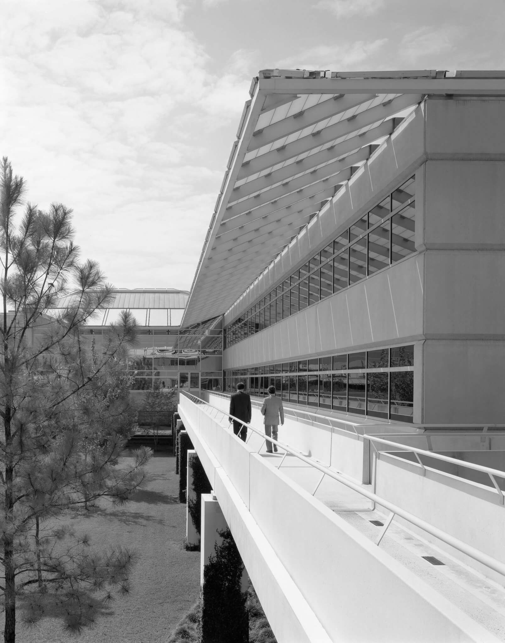 canopy roof structure 