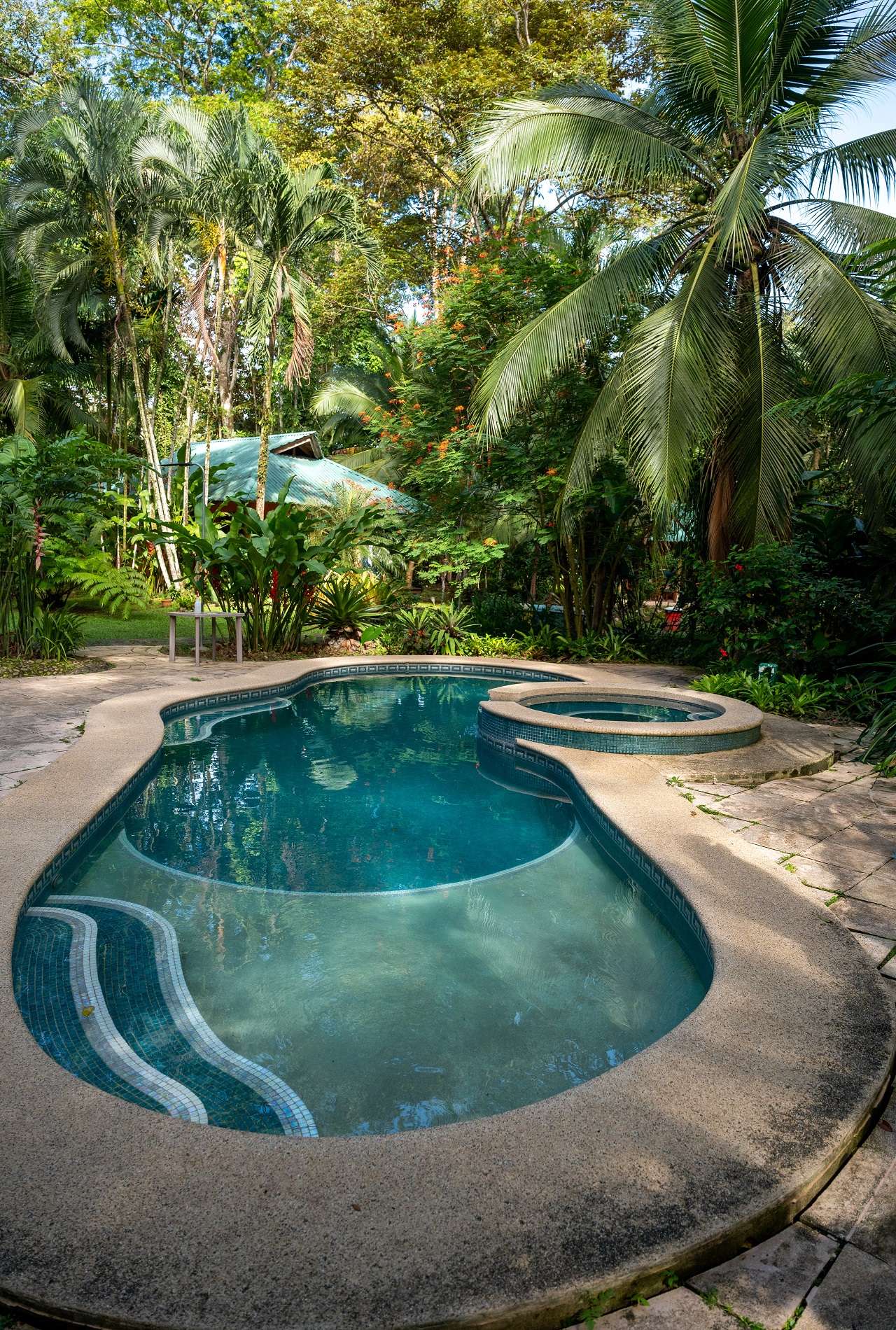 Swimming pool with a spa