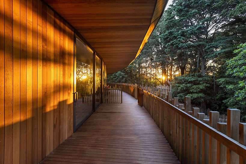 leaf-shaped roof tops gaia forest preschool center’s structure in new zealand