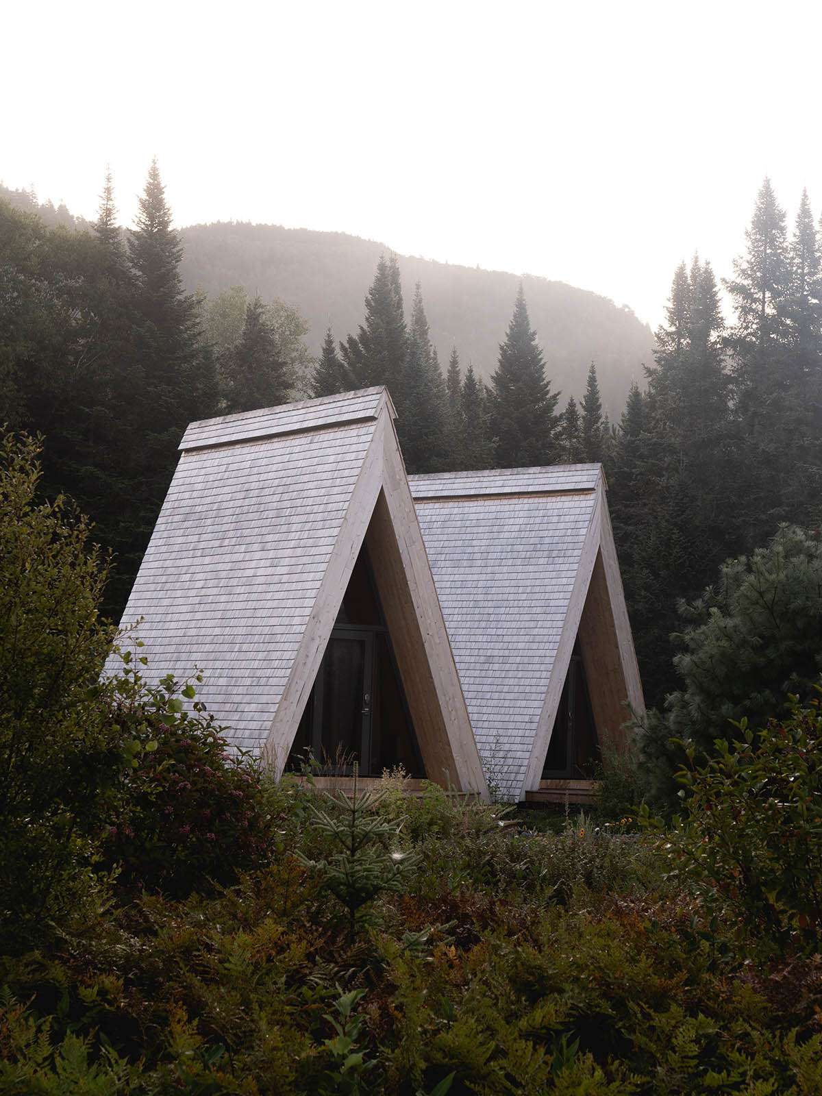 Embodying the wild beauty of the Canadian region for campers in four framed cabins