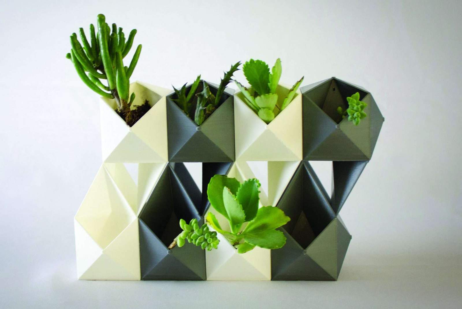 YX planter for endless compositions