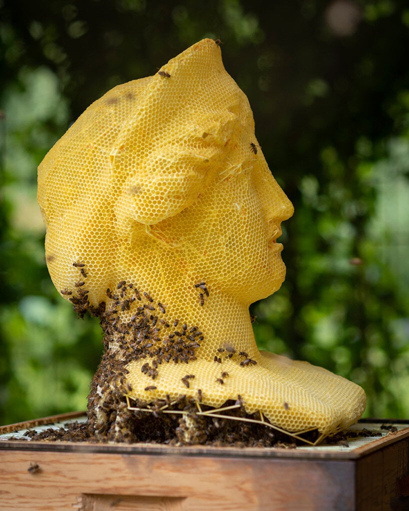 tomáš libertíny's beeswax busts of hera and nefertiti translate vulnerability into strength