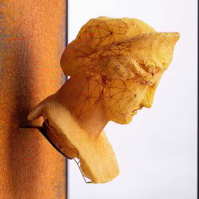 tomáš libertíny's beeswax busts of hera and nefertiti translate vulnerability into strength