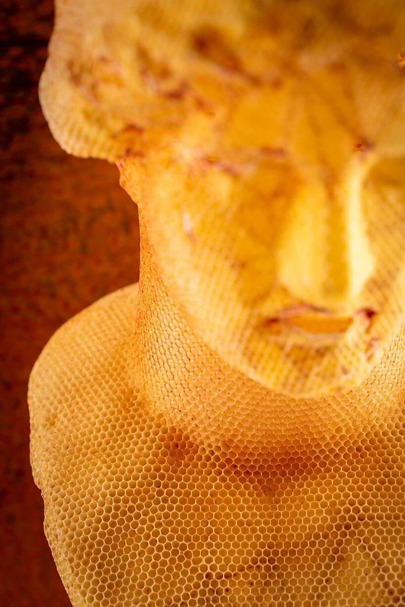 tomáš libertíny's beeswax busts of hera and nefertiti translate vulnerability into strength