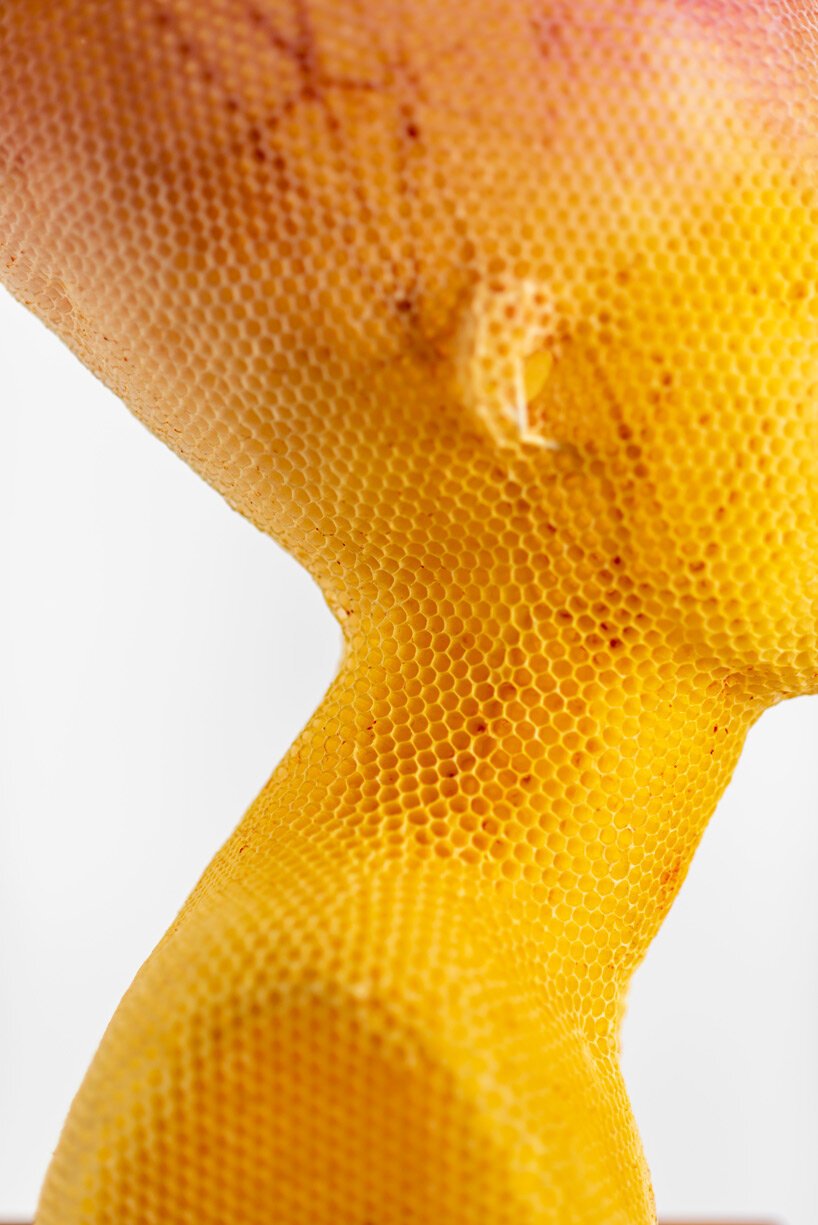 tomáš libertíny's beeswax busts of hera and nefertiti translate vulnerability into strength