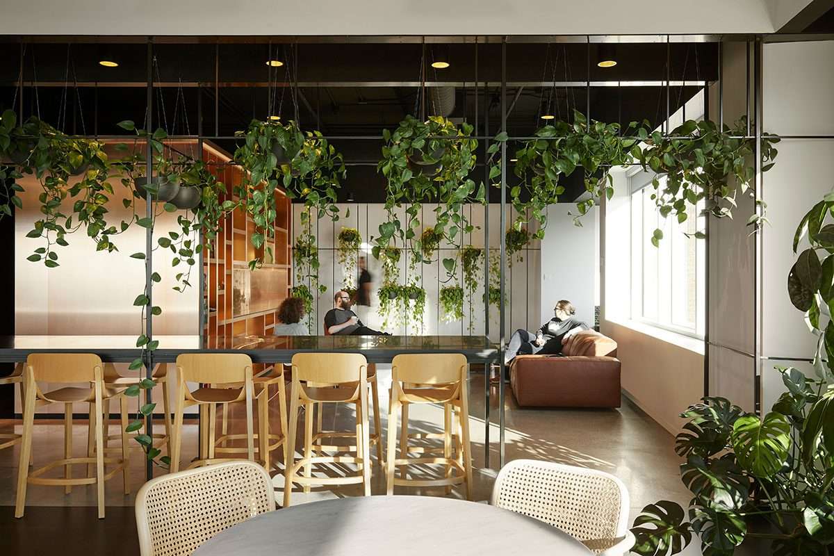 Create interior designs for ACDF Architecture