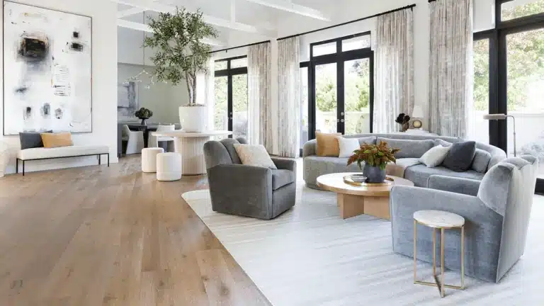 A modern living room designed in a transitional style, blending simple furniture with neutral colors and natural accents.