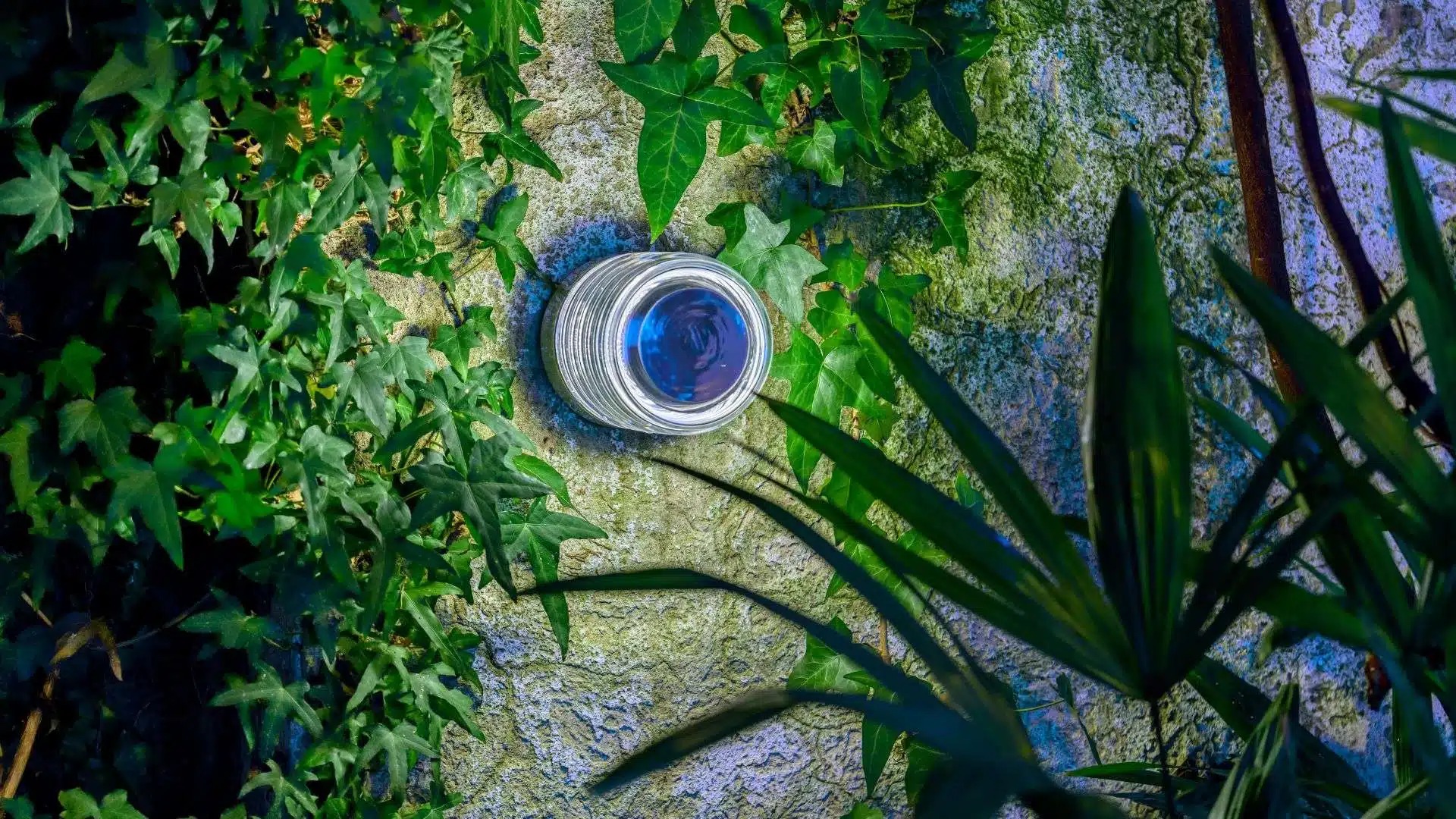 The evocative, abstract, and dreamy power of outdoor lighting قوة الإضاءة الخارجية المفعمة بالحيوية والمجردة والحالمة