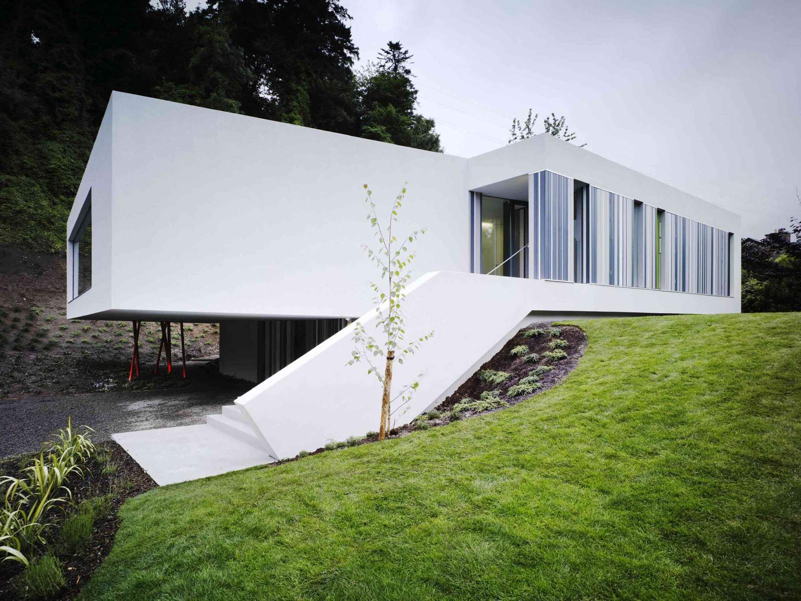 Dwelling at Maytree by ODOS