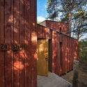 Refuge Forest Cabin Vlieland / Studio Brandvries - Exterior Photography, Door