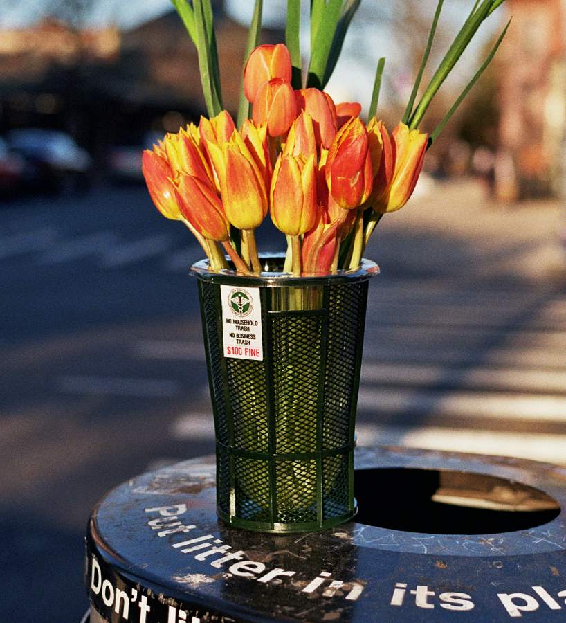 chris luu's 'trashcan vase' brings new york's iconic street bins into the home