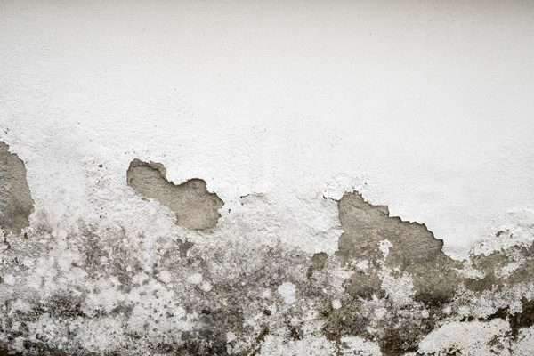 Addressing moisture problems in walls and floors