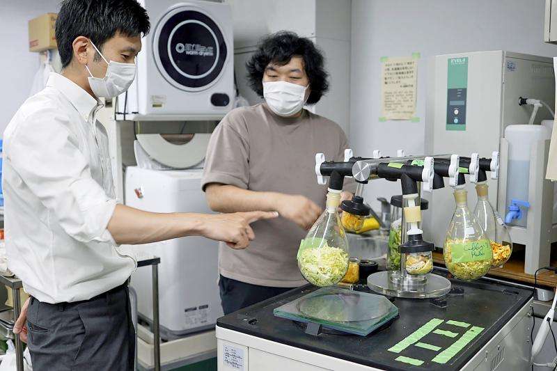 Creating a material that uses food waste in civil construction