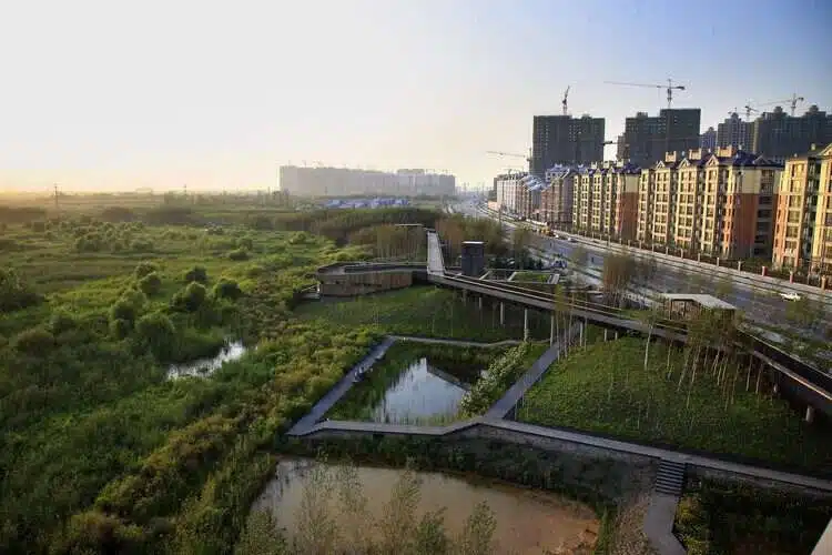 تأثير COP27 على العمارة وصناعة البناء