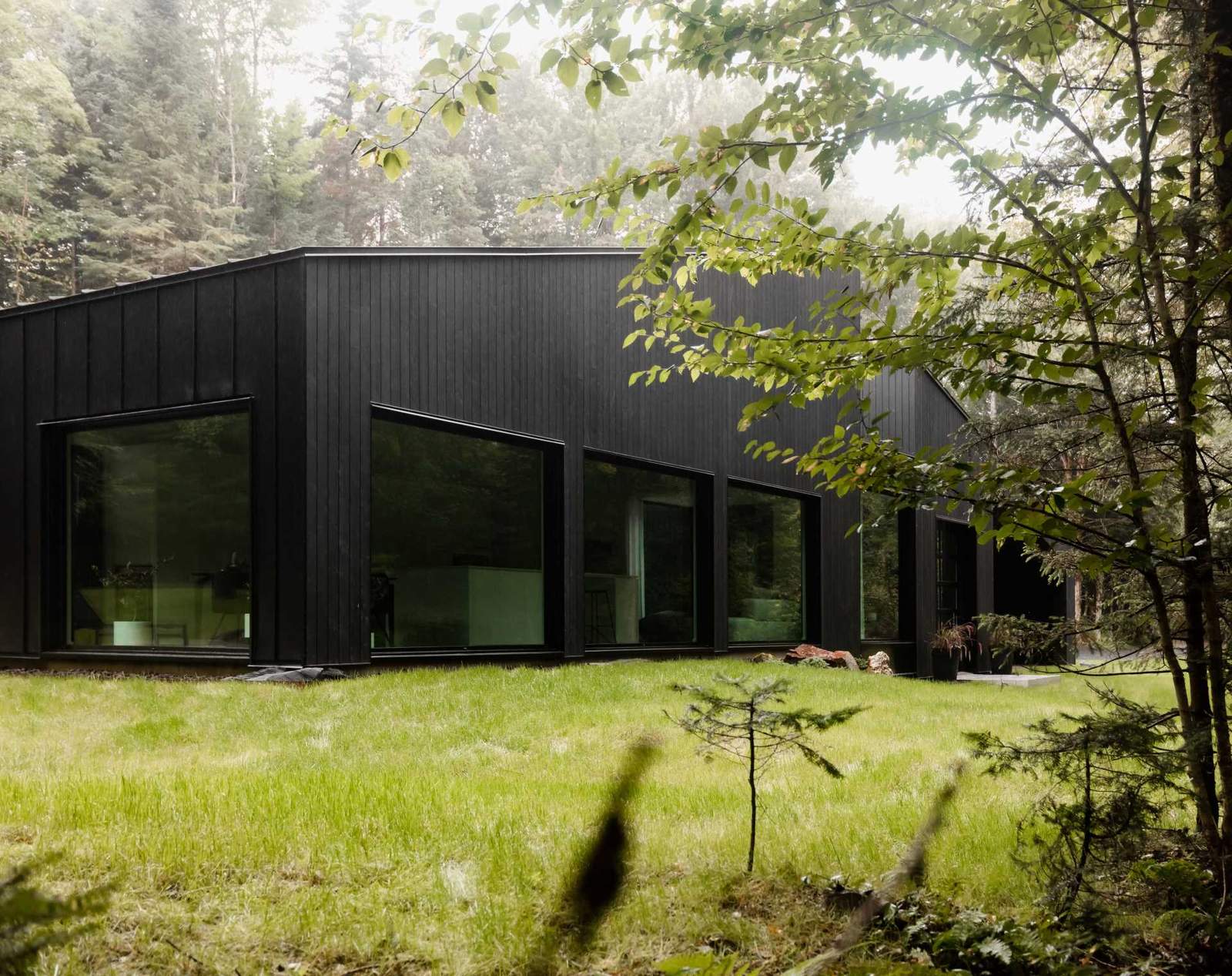 يغطي الجزء الخارجي الأسود لهذا المنزل في الغابة مساحة داخلية بيضاء بسيطة