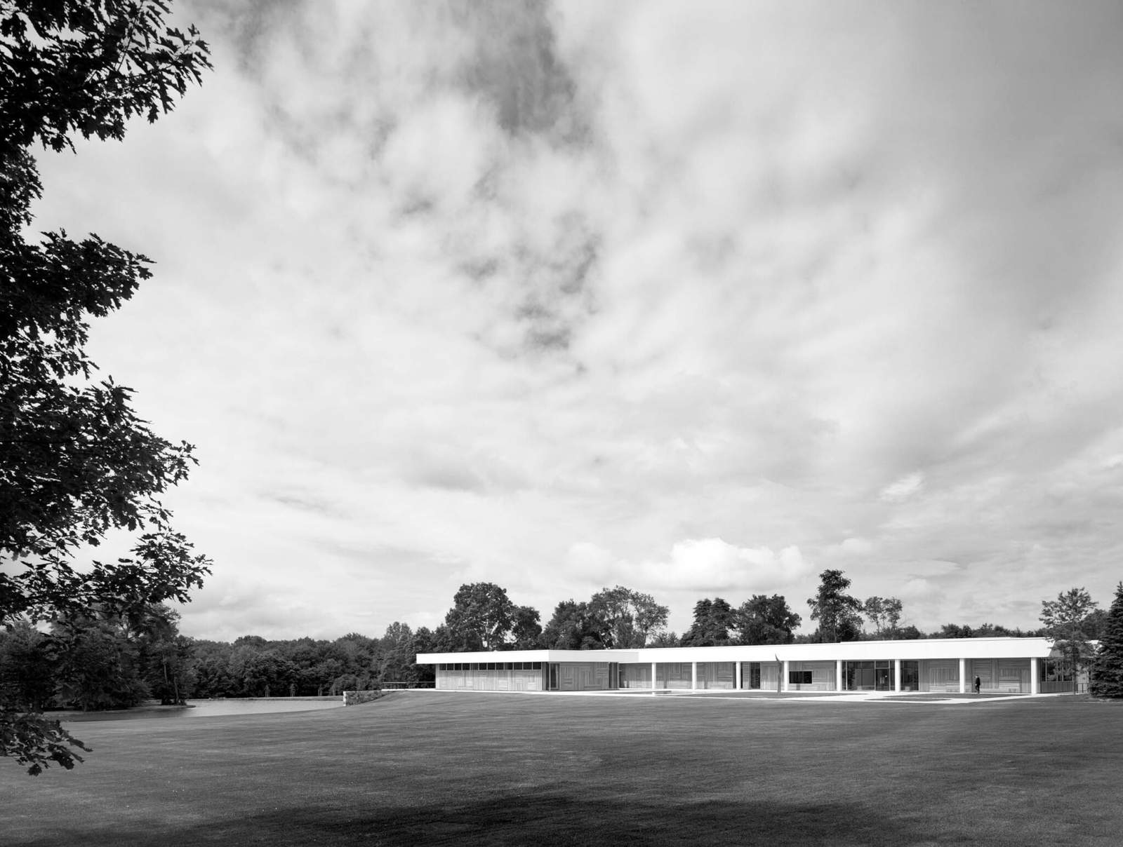 view of library in field