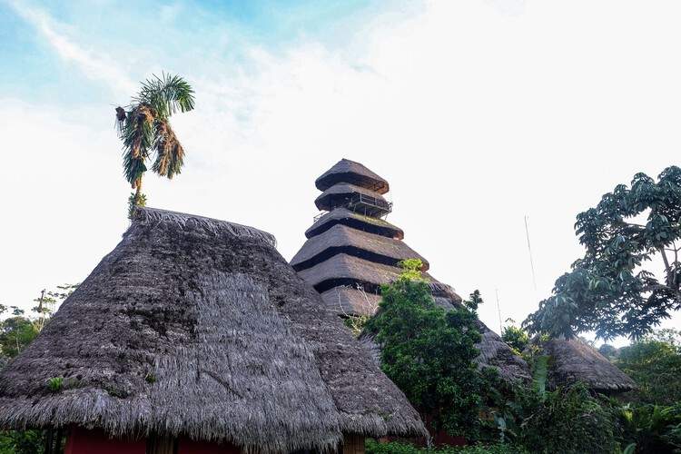Napo Native Fauna Center Tower / Caá Porá Arquitectura + Pinxcel + Comunidad Kichwa Añangu - Exterior Photography