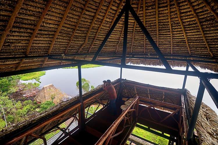 Napo Native Fauna Center Tower / Caá Porá Arquitectura + Pinxcel + Comunidad Kichwa Añangu - Interior Photography, Forest