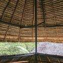 Napo Native Fauna Center Tower / Caá Porá Arquitectura + Pinxcel + Comunidad Kichwa Añangu - Exterior Photography