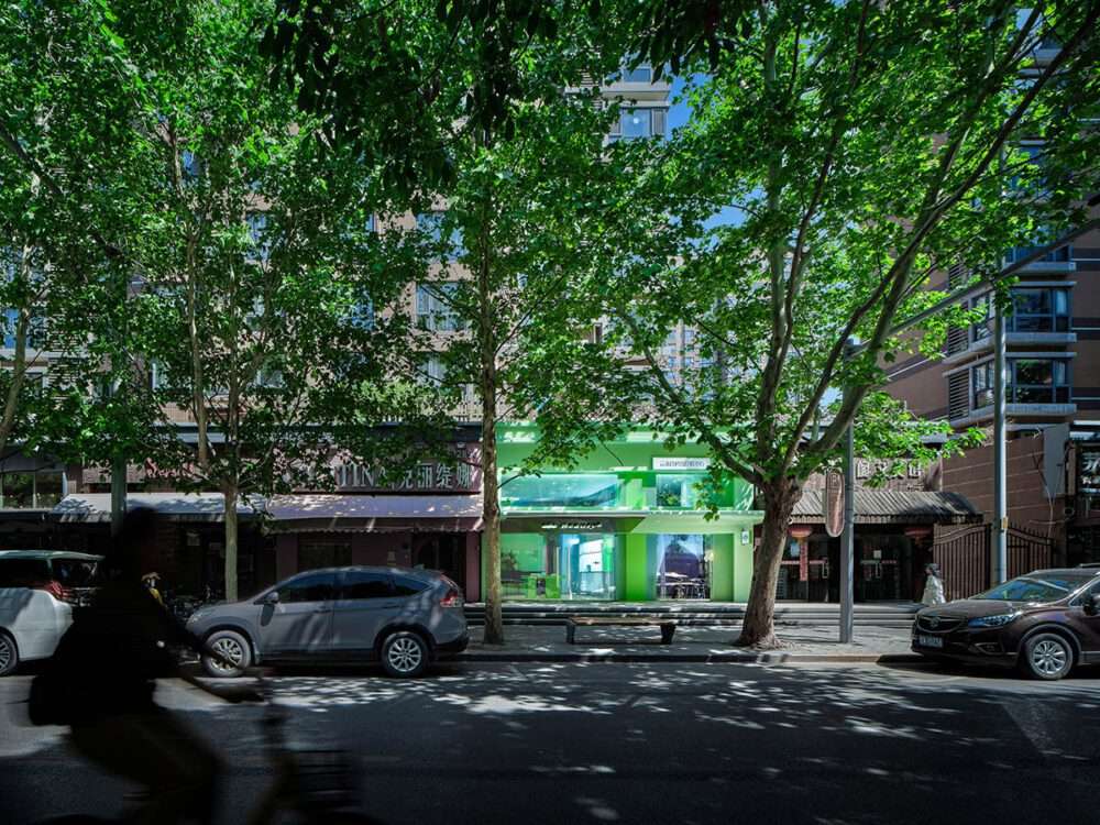 Beauty center design with green interiors