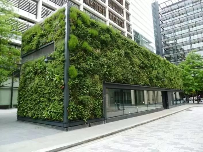 الأسطح الخضراء والجدران الحية