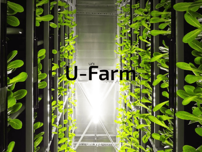 U-Farm – تحدي تصميم مركز الزراعة الحضرية