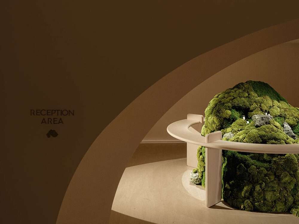 Using the organic feel in the interiors of beauty centers
