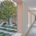Oude Dijk Housing / Shift Architecture Urbanism - التصوير الداخلي ، Windows ، الواجهة