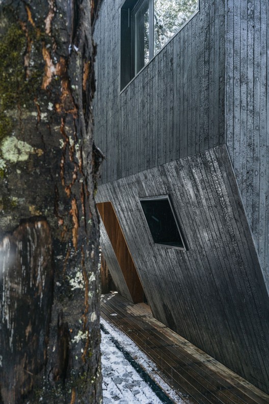 Gallareta House / OJA (organic and Joyful Architecture) - Exterior Photography, Windows, Wood