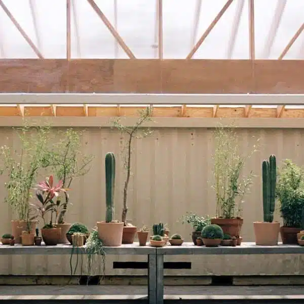 Mattaforma considers “plants as clients” for Public Records outdoor space