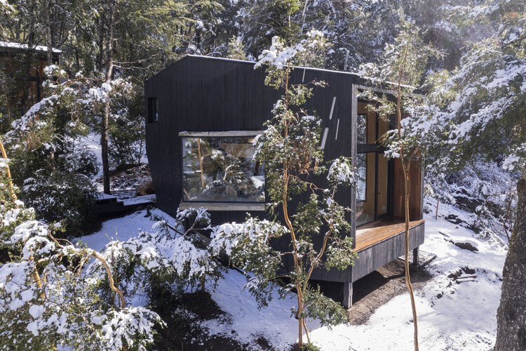Gallareta House / OJA (organic and Joyful Architecture) - Exterior Photography, Windows, Forest