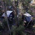 Gallareta House / OJA (organic and Joyful Architecture) - Exterior Photography, Windows, Forest
