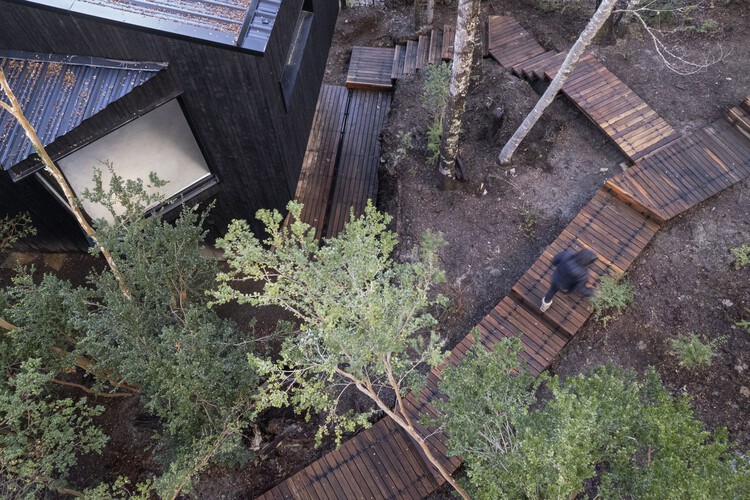 Gallareta House / OJA (organic and Joyful Architecture) - Exterior Photography, Garden