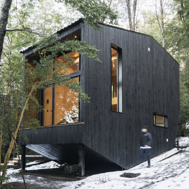 Gallareta House / OJA (organic and Joyful Architecture) - Exterior Photography, Windows, Facade