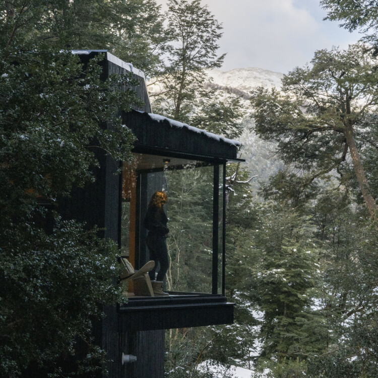 Gallareta House / OJA (organic and Joyful Architecture) - Exterior Photography, Forest