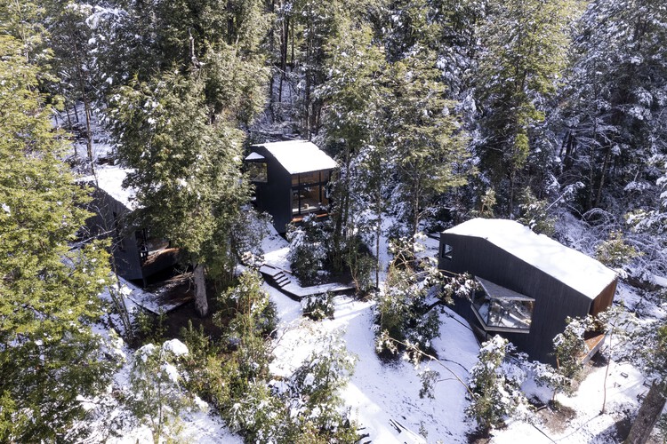Gallareta House / OJA (organic and Joyful Architecture) - Exterior Photography, Windows, Forest