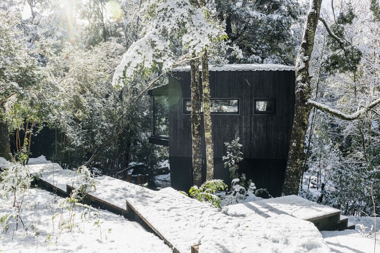 Gallareta House / OJA (organic and Joyful Architecture) - Forest