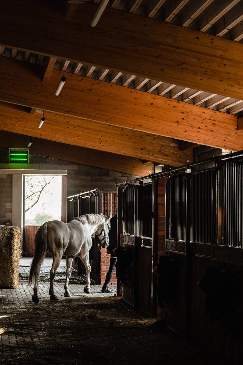 raw concrete, steel panels, and wood wrap wiercinski studio's equestrian center in poland